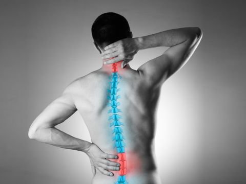 spine bone treatment in dwarka