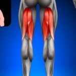 hamstring grade injury specialist